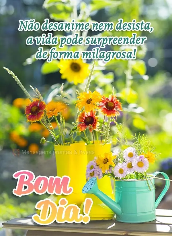 Não desanime nem desista, a vida pode surpreender de forma milagrosa! Bom dia!