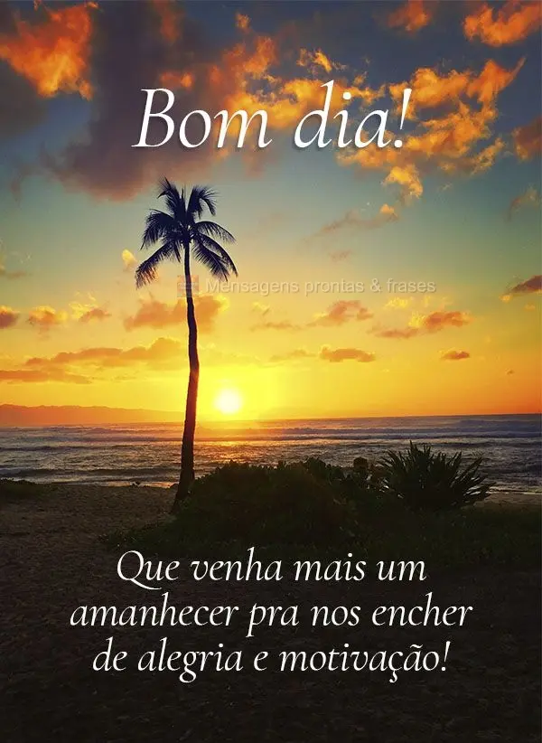 Que venha mais um amanhecer pra nos encher de alegria e motivação! Bom dia!