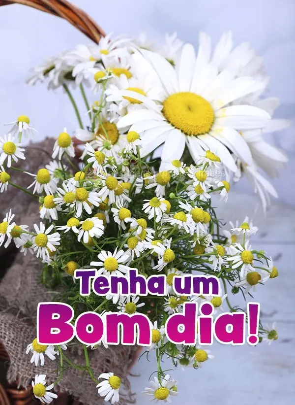 Tenha um Bom dia!