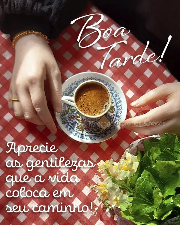 Aprecie as gentilezas que a vida coloca em seu caminho! Boa tarde! 