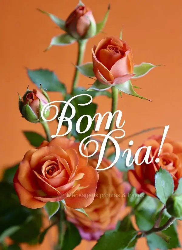 Bom dia!