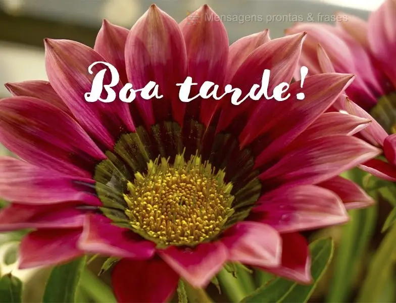 Boa tarde!
