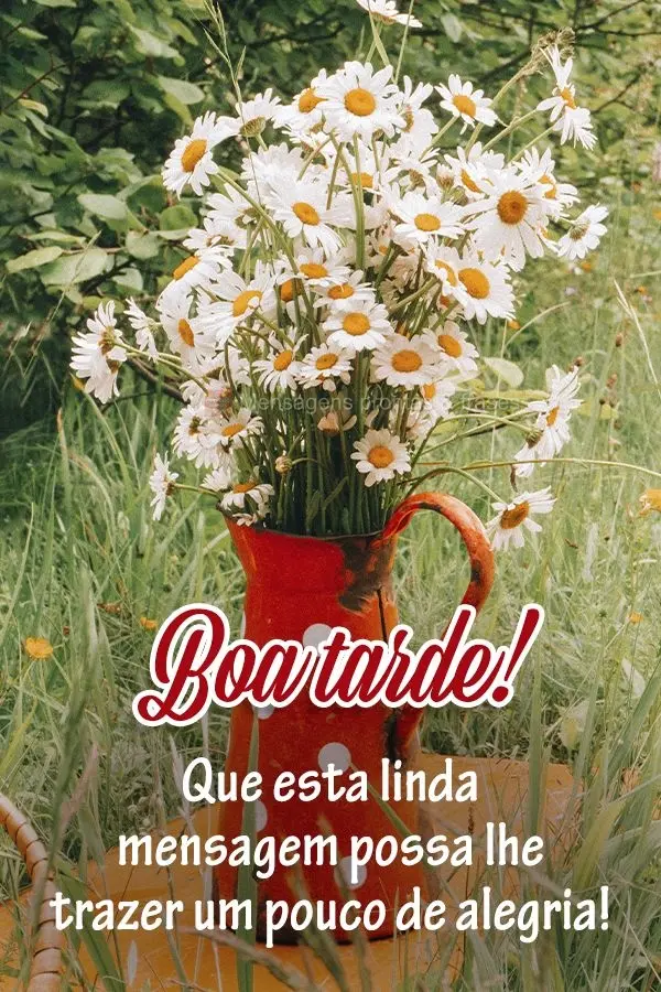 Que esta linda mensagem possa lhe trazer um pouco de alegria! Boa tarde! 