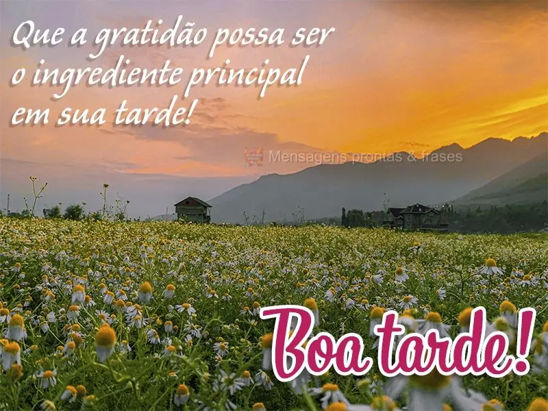 Que a gratidão possa ser o ingrediente principal em sua tarde! Boa tarde! 
