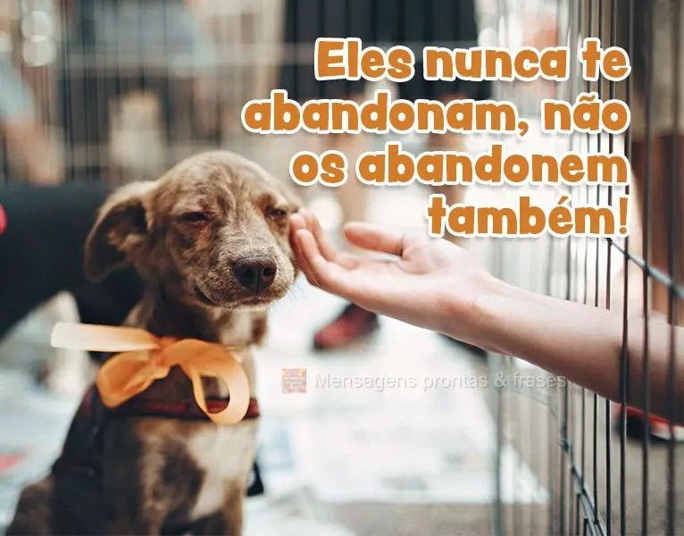 Eles nunca te abandonam, não os abandonem também!