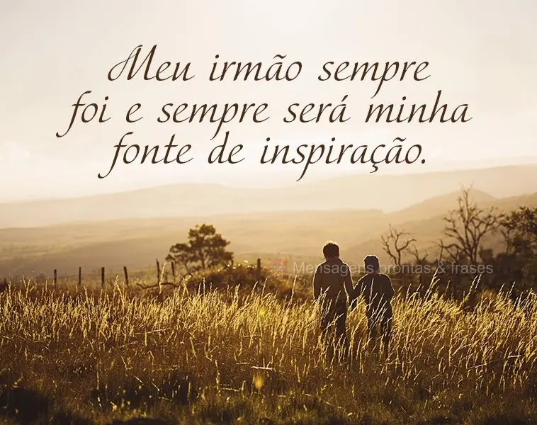 Meu irmão sempre foi e sempre será minha fonte de inspiração.