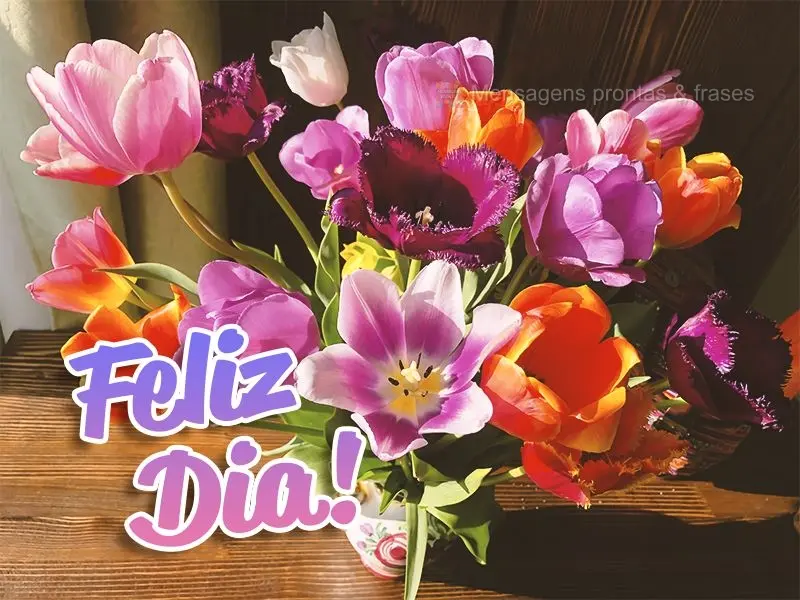 Feliz dia!