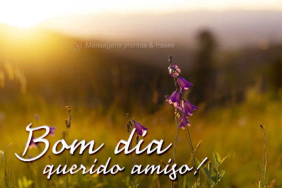 Bom dia querido amigo!