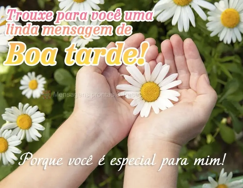 Trouxe para você uma linda mensagem de Boa tarde! Porque você é especial para mim!