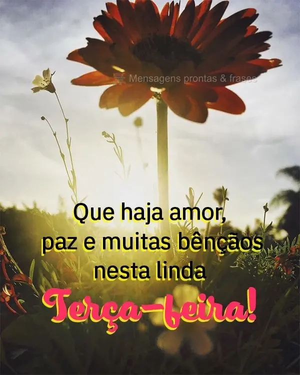 Que haja amor, paz e muitas bênçãos nesta linda terça-feira!