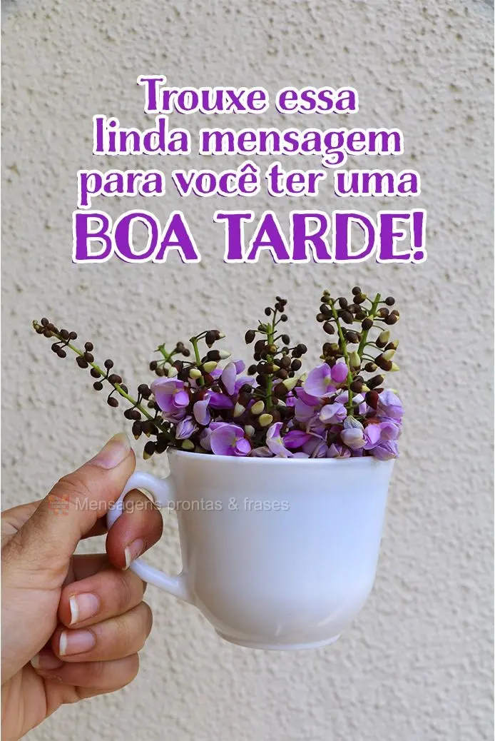 Trouxe essa linda mensagem para você ter uma... Boa tarde!