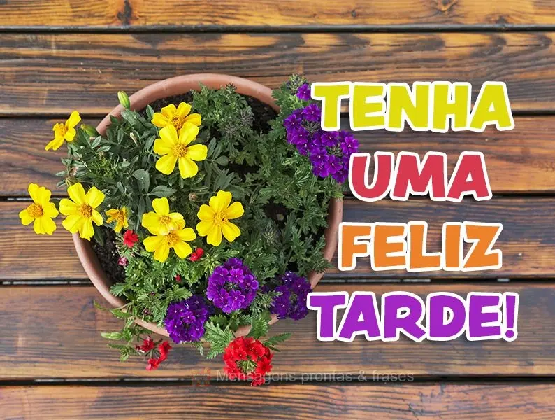 Tenha uma feliz tarde!