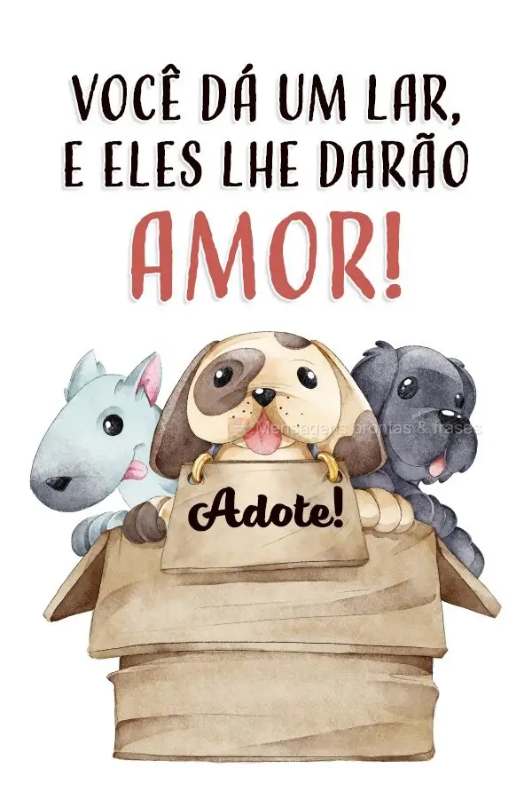 Você dá um lar, e eles lhe darão amor!  Adote!