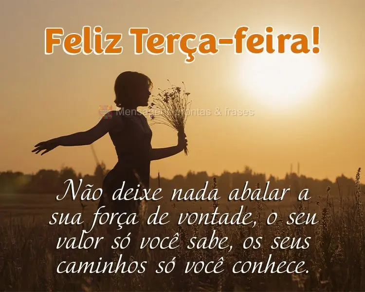 Não deixe nada abalar a sua força de vontade, o seu valor só você sabe, os seus caminhos só você conhece. Feliz Terça-feira!