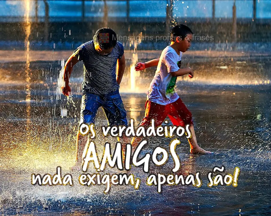 Os verdadeiros amigos nada exigem, apenas são!