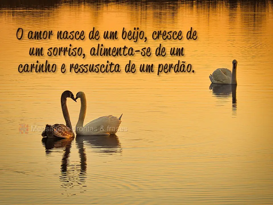 O amor nasce de um beijo, cresce de um sorriso, alimenta-se de um carinho e ressuscita de um perdão.
