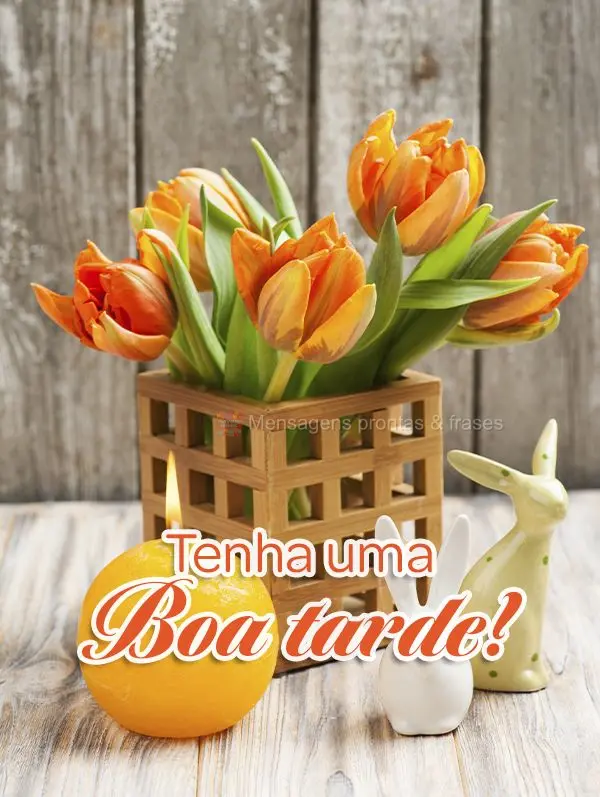 Tenha uma boa tarde!