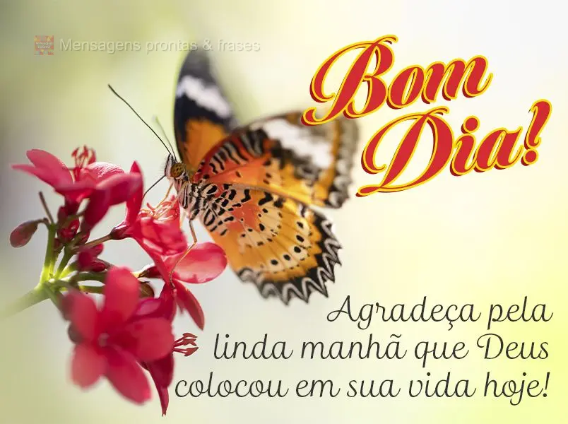 Agradeça pela linha manhã que Deus colocou em sua vida hoje! Bom dia! 