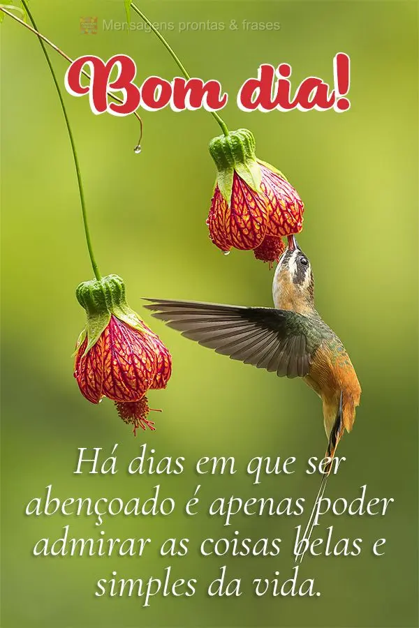 Há dias em que ser abençoado é apenas poder admirar as coisas belas e simples da vida. Bom dia!