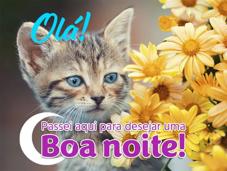 Olá! Passei aqui para desejar uma boa noite!