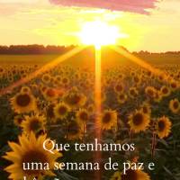 Que tenhamos uma semana de paz e bênçãos e que nunca nos falte fé! Boa semana! 