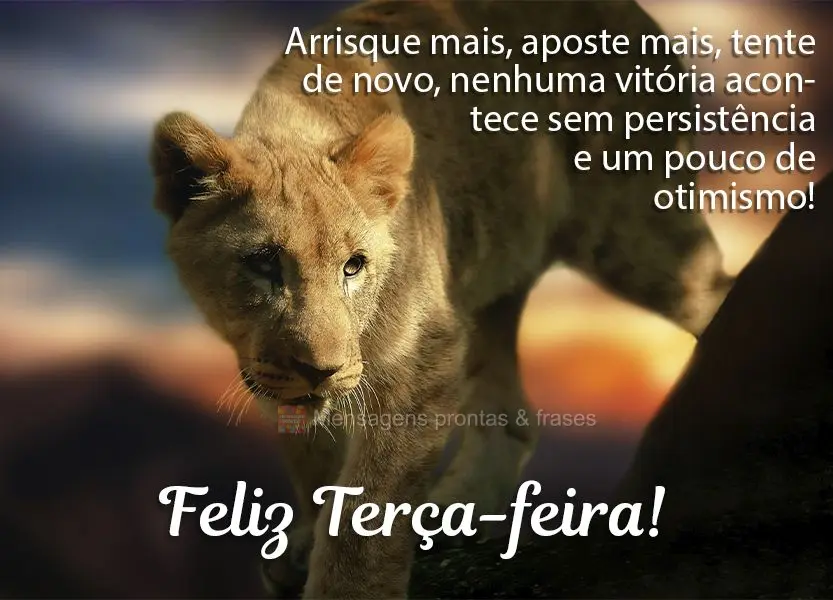 Arrisque mais, aposte mais, tente de novo, nenhuma vitória acontece sem persistência e um pouco de otimismo! Feliz Terça-feira!