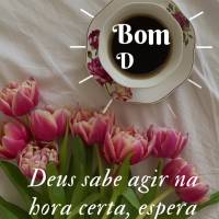 Deus sabe agir na hora certa. Espera e confia que Ele te surpreenderá! Bom dia!