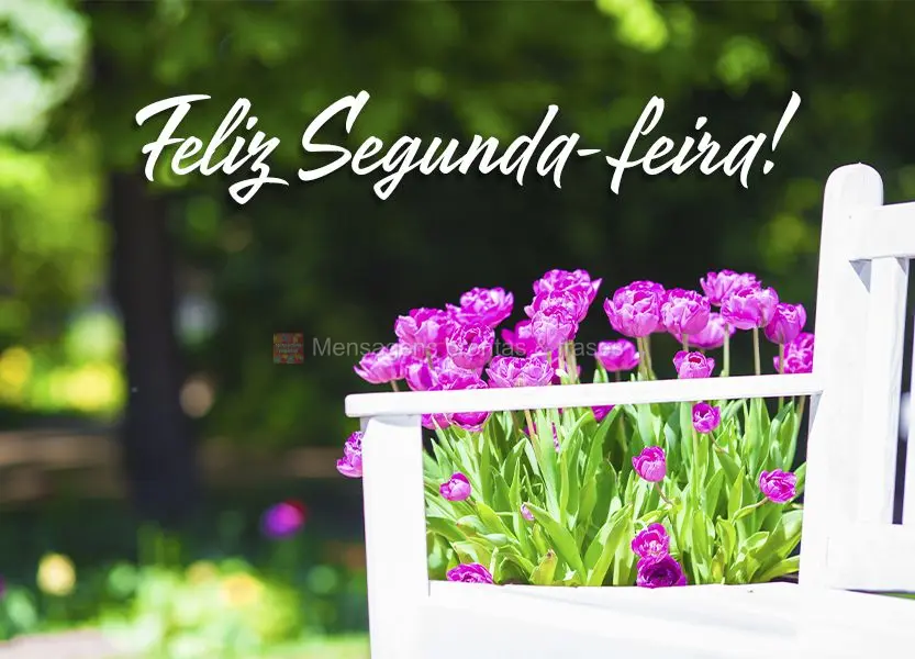 Feliz Segunda-feira!