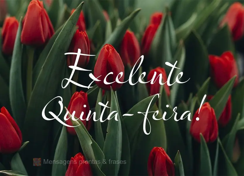 Excelente Quinta-feira!