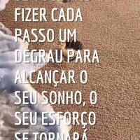 Se você não fizer cada passo um degrau para alcançar o seu sonho, o seu esforço se tornará em vão.