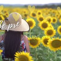 Se prepare, coisas boas estão por vir!