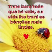 Trate bem tudo que há vida, e a vida lhe trará as bênçãos mais lindas.