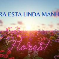 Para esta linda manhã…Flores!