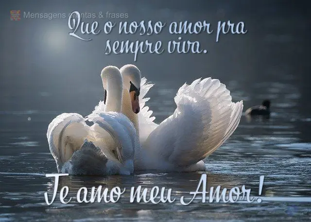 Que o nosso amor pra sempre viva.
 Te amo meu Amor!