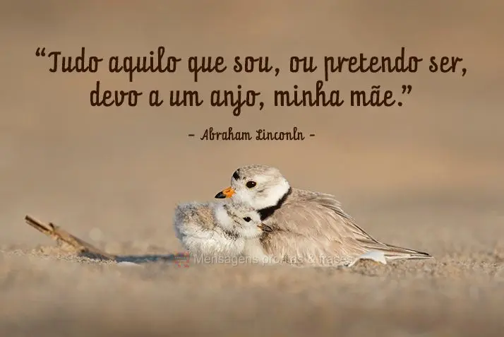 “Tudo aquilo que sou, ou pretendo ser, devo a um anjo, minha mãe.”  
 Abraham Linconln