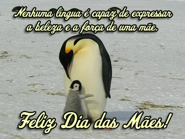 Nenhuma língua é capaz de expressar a beleza e a força de uma mãe.  Feliz Dia das Mães!