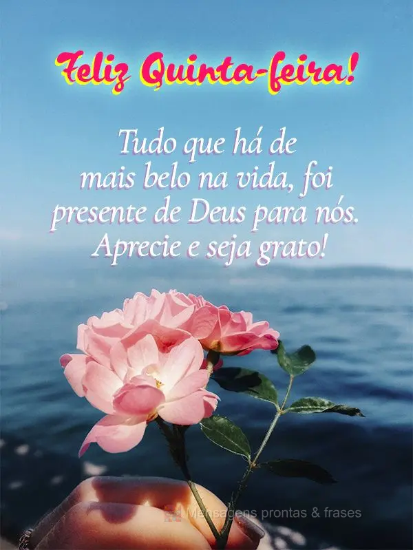 Tudo que há de mais belo na vida, foi presente de Deus para nós. Aprecie e seja grato! Feliz Quinta-feira! 