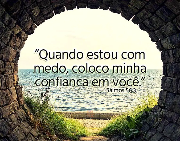 “Quando estou com medo, coloco minha confiança em você.” Salmos 56:3