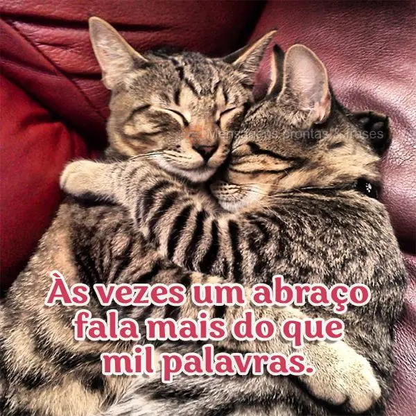 Às vezes um abraço fala mais do que mil palavras.