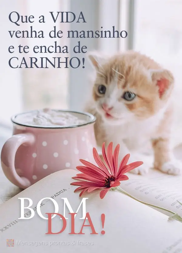 Que a vida venha de mansinho e te encha de carinho! Bom dia!