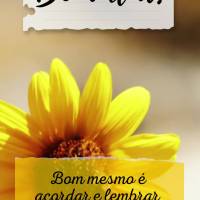 Bom mesmo é acordar e lembrar que temos mais uma chance para ser feliz e grato por isso. Bom dia!
