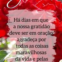 Há dias em que a nossa gratidão deve ser em oração. Agradeça por todas as coisas maravilhosas da vida e pelas bênçãos do dia; agradeça! Bom dia!...