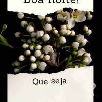 Que seja abençoada a sua noite, e que tenha lindos sonhos! Boa noite!