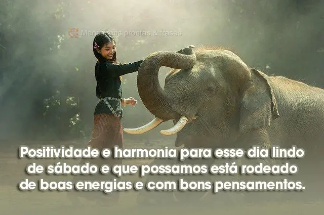 Positividade e harmonia para esse dia lindo de sábado e que possamos estar rodeados de boas energias e com bons pensamentos. 
