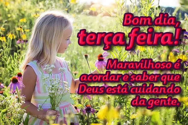  Maravilhoso é acordar e saber que Deus está cuidando da gente.
 Bom dia, terça-feira!