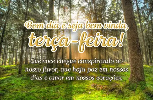 Que você chegue conspirando ao nosso favor, que haja paz em nossos dias e amor em nossos corações.
 Bom dia e seja bem-vinda, terça-feira! 