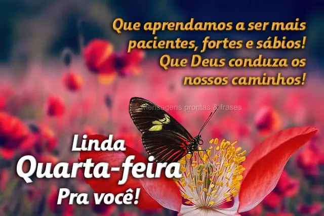 Que aprendamos a ser mais pacientes, fortes e sábios! Que Deus conduza os nossos caminhos!  Linda Quarta-feira pra você!