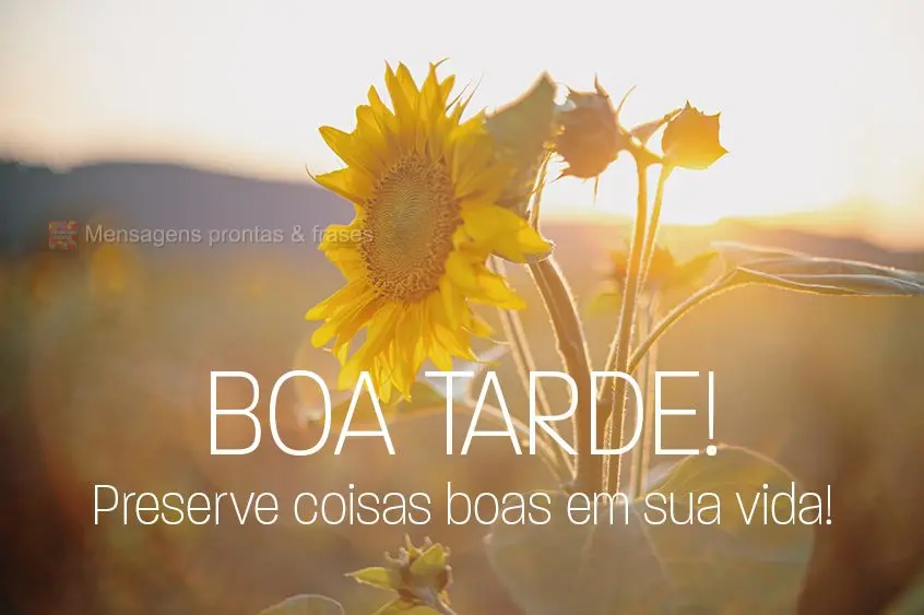  Preserve coisas boas em sua vida! Boa tarde!