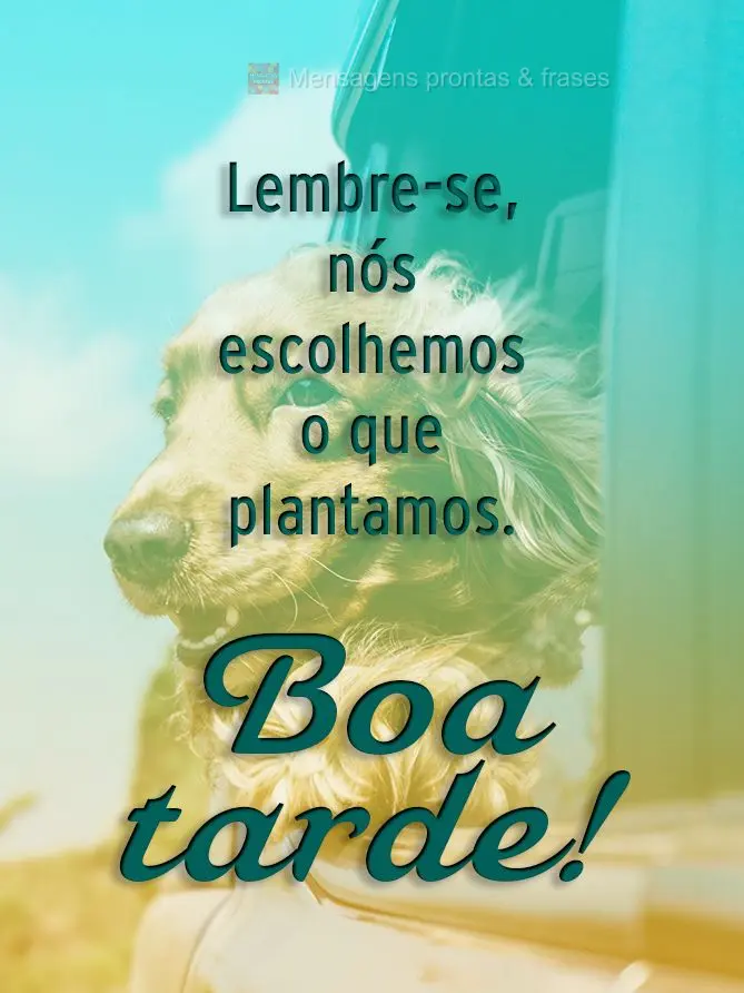  Lembre-se, nós escolhemos o que plantamos. 
 Boa tarde!