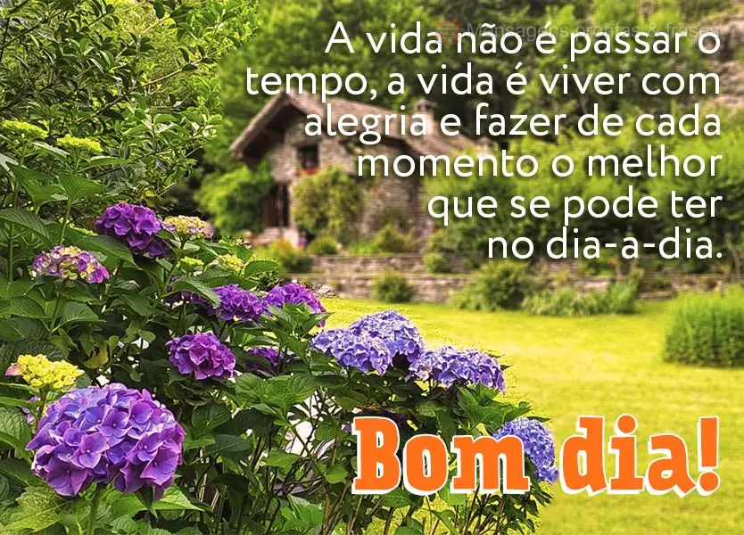 A vida não é passar o tempo, a vida é viver com alegria e fazer de cada momento o melhor que se pode ter no dia-a-dia. Bom dia!